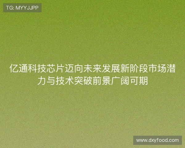 亿通科技芯片迈向未来发展新阶段市场潜力与技术突破前景广阔可期
